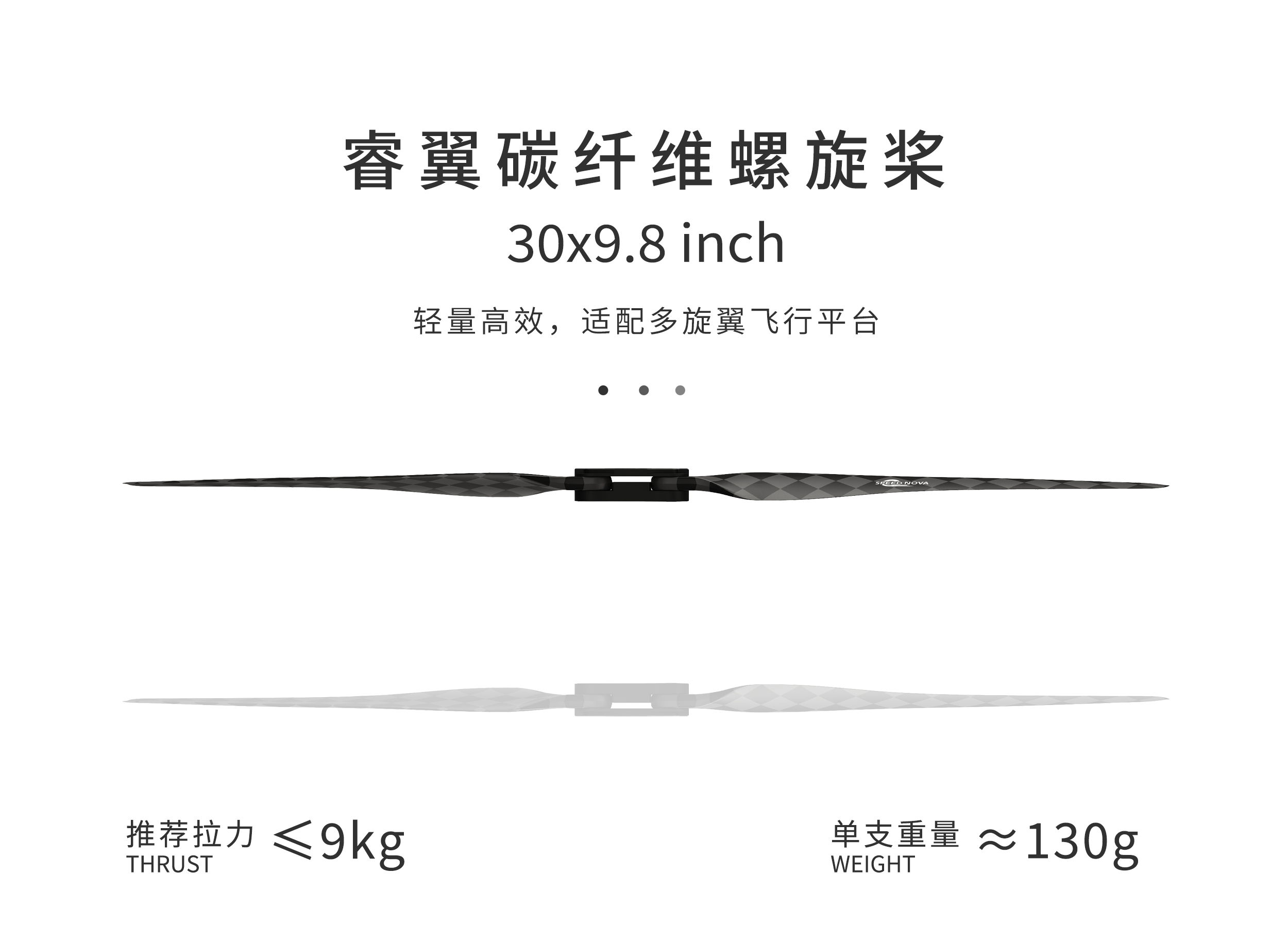 30x9.8_01.jpg