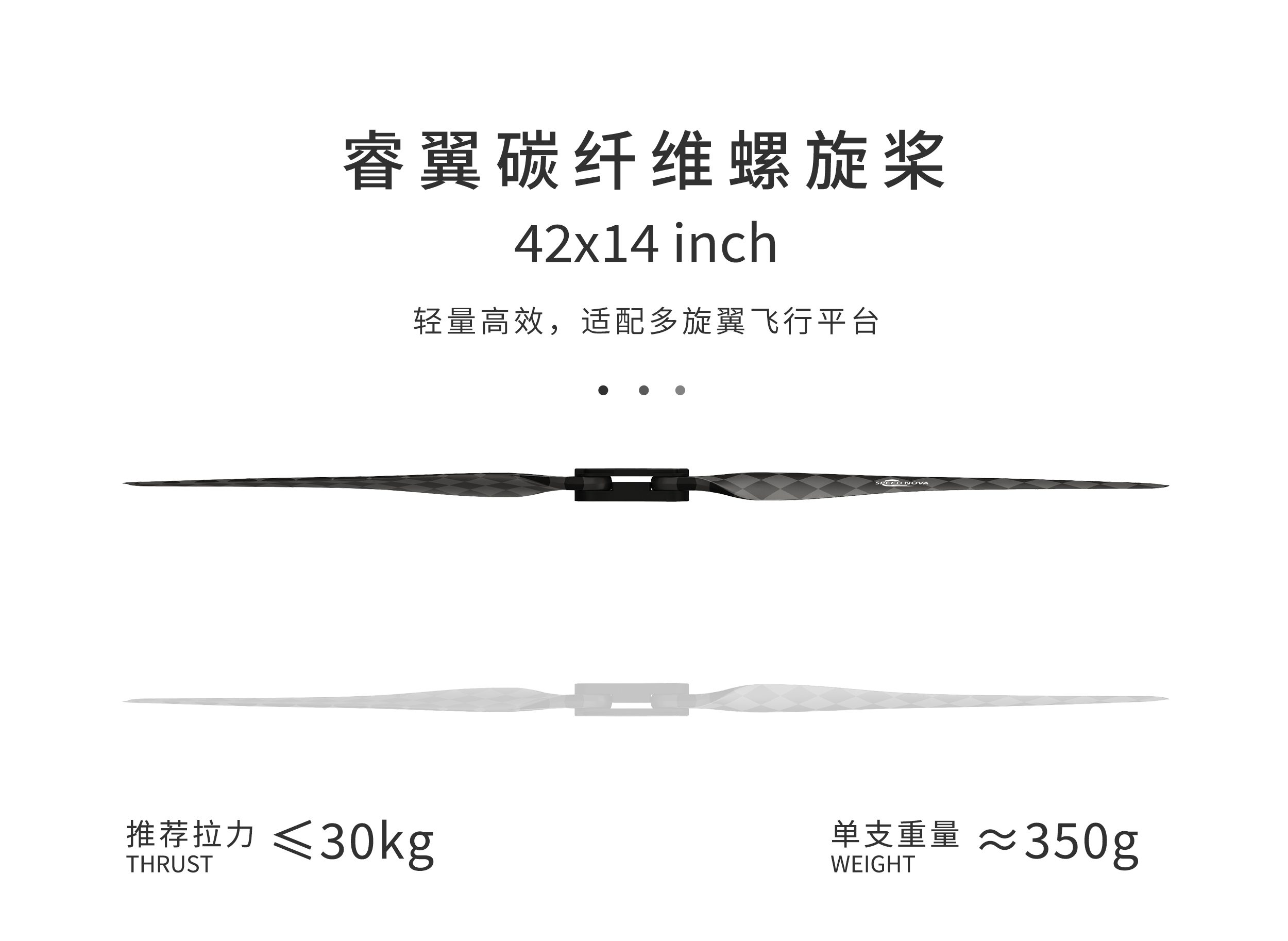 42x14_01.jpg